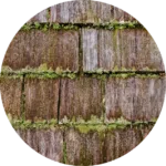 old and tattered cedar shingles