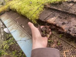 Cedar roof with damage that needs repair - possibly entire roof replacement.